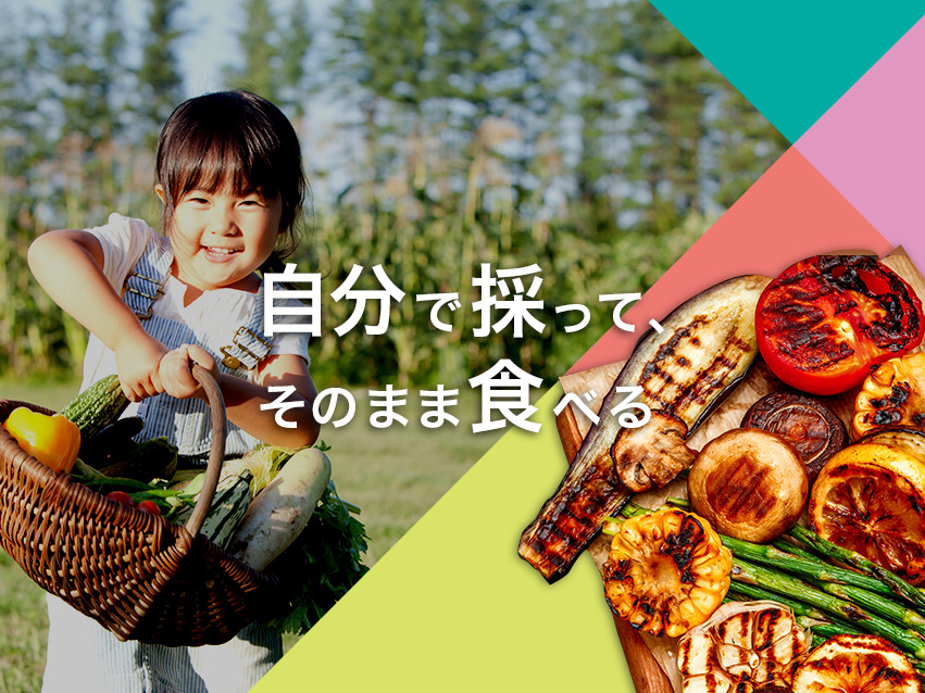 手ぶらバーベキュー場 ベジq